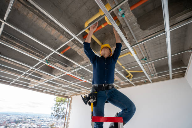 Best Sprinkler Systems  in Ave Maria, FL